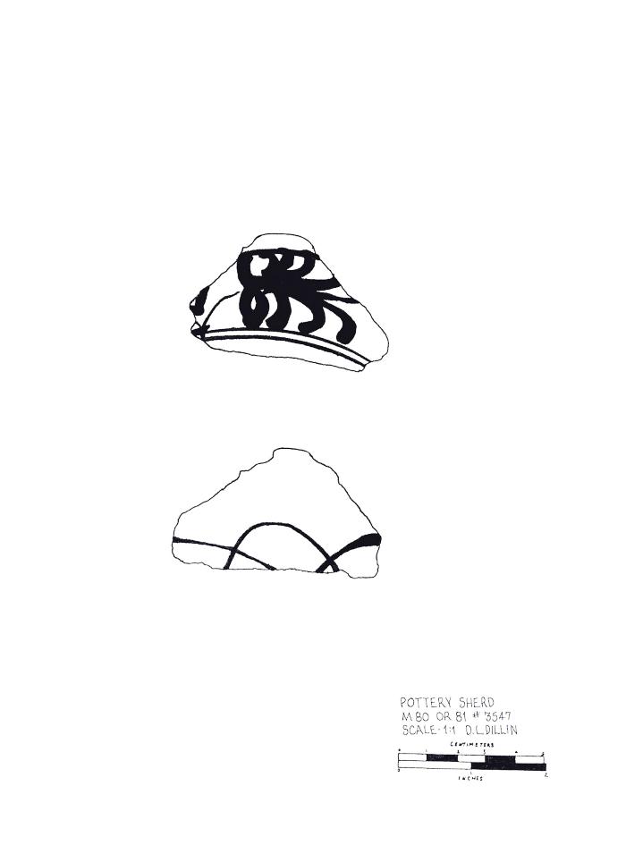 Artifact Drawing - Sherd    