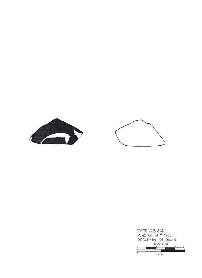 Artifact Drawing - Sherd   