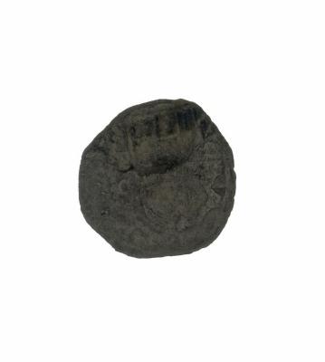 1999.010.0023