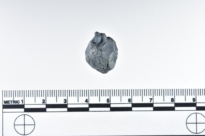 1986.008.2969g
