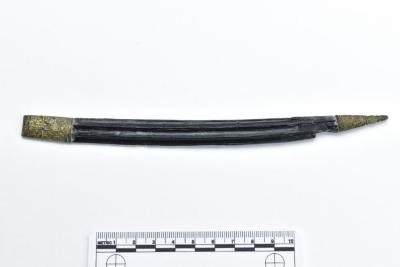 1986.008.2310a