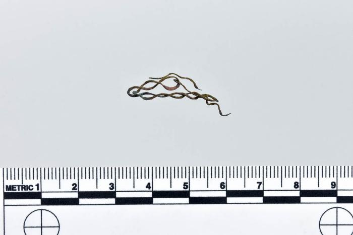 1986.008.2251b