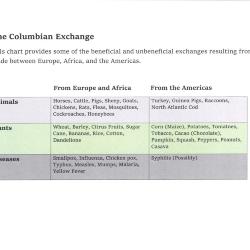 The Columbian Exchange Chart